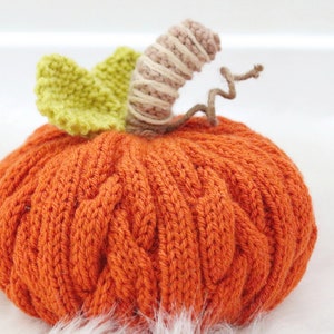 Braided Cable Pumpkin - Knitting Pattern Only - Fall Home Decor Pattern