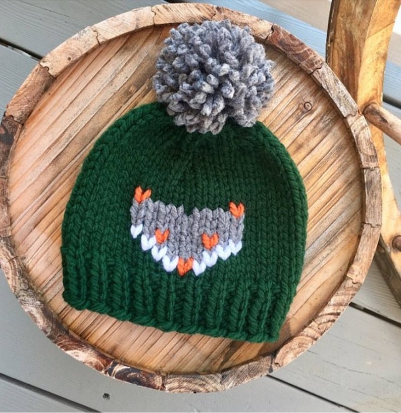 May include: A green knitted hat with a grey pom pom on top. The hat has a grey and white owl design with orange accents.