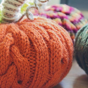 Braided Cable Pumpkin Knitting Pattern Only Fall Home Decor Pattern image 2