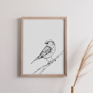 art mur doiseau, moineau, impression doiseau, antique, aquarelle, noir et blanc, scandanavian, numérique, pépinière, cru, art doiseau, décor à la maison image 1