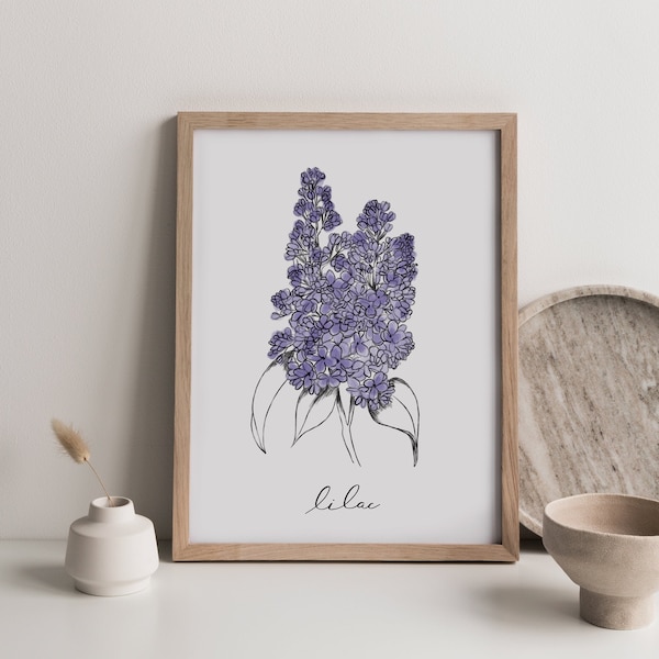 flieder, lila Blume Kunstdruck, lila Blume Illustration, Aquarell, Kinderzimmer, Print, Blumenkunst, printable, minimal, botanisch