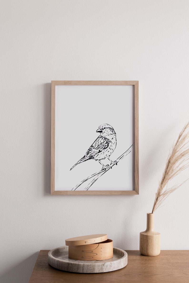 art mur doiseau, moineau, impression doiseau, antique, aquarelle, noir et blanc, scandanavian, numérique, pépinière, cru, art doiseau, décor à la maison image 1