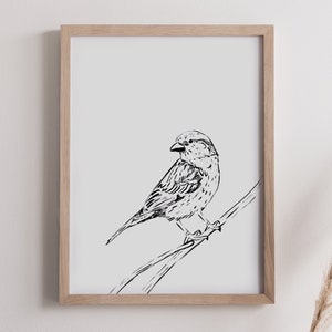 art mur doiseau, moineau, impression doiseau, antique, aquarelle, noir et blanc, scandanavian, numérique, pépinière, cru, art doiseau, décor à la maison image 2