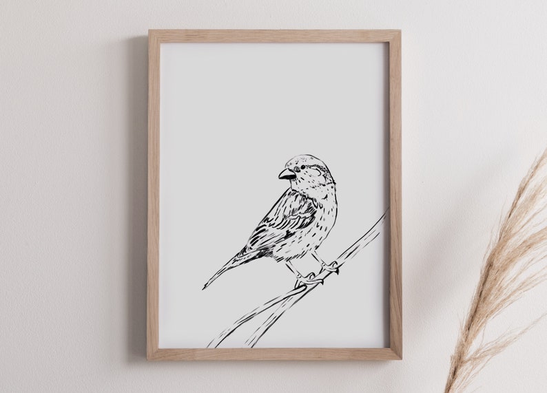 art mur doiseau, moineau, impression doiseau, antique, aquarelle, noir et blanc, scandanavian, numérique, pépinière, cru, art doiseau, décor à la maison image 2