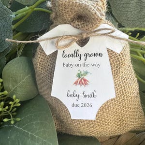 Locally Grown Baby Shower Party Favor Tags, Locally Made Spring Sprinkle, Welcome Our Little Baby Summer Coed Gender Reveal Bild 3