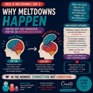 Può includere: Un'infografica educativa intitolata Why Meltdowns Happen, con illustrazioni di una testa umana con un cervello. Spiega il concetto di un cervello che perde il controllo, contrapponendo un cervello calmo a un cervello in modalità sopravvivenza. Il testo include la spiegazione di Dan Hughes, consigli sulla connessione e una nota su una guida di 4 pagine di Create Therapy.