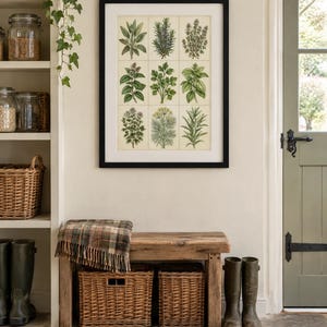 Kitchen Herbs Study Plate Print, Antique Botanical Style Wall Art, Culinary Herb Poster