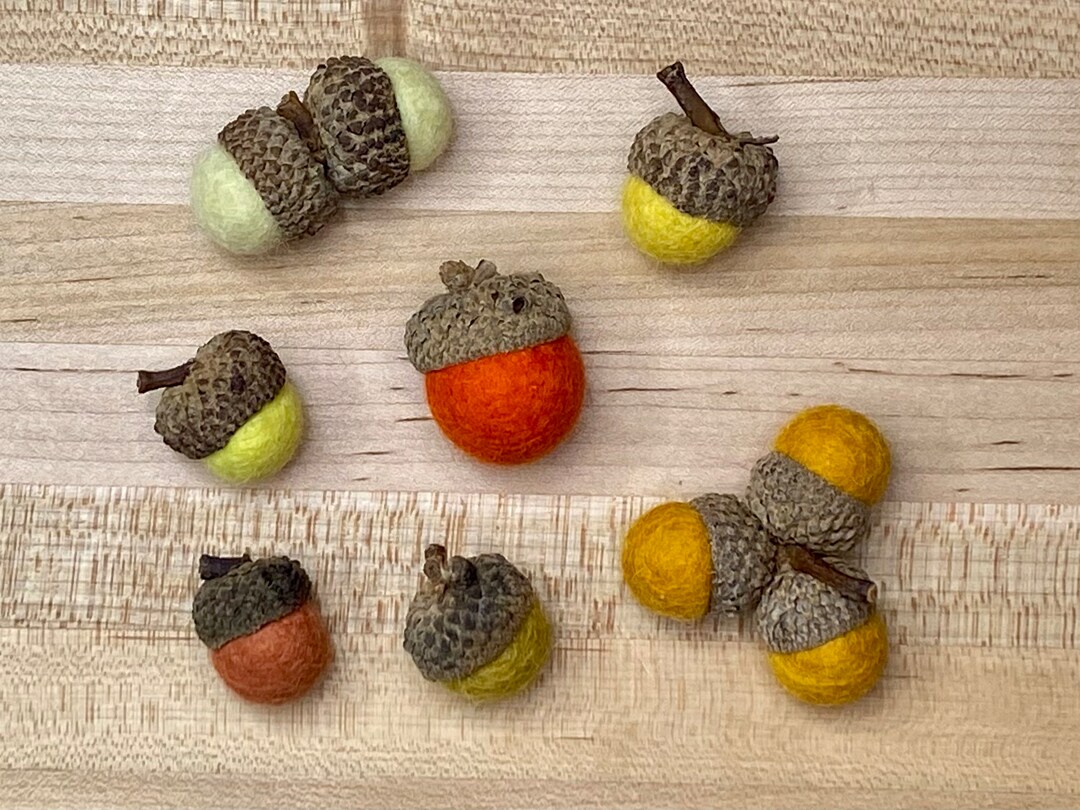 Wool Felted Acorns Set of 10 Autumn Decor Fall Colors Autumn
