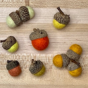 Wool Felted Acorns: Autumn Decor, Natural Caps, Fall Colors (Set of 10)