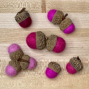Wool Felted Acorns: Autumn Decor, Natural Caps, Fall Colors (Set of 10)