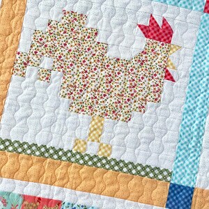 Farmstead Finds - A Traditional Quilt Pattern - Wall Hanging Pattern - Throw Quilt Pattern - Paper Pattern BRD-Q016