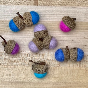 Wool Felted Acorns: Autumn Decor, Natural Caps, Fall Colors (Set of 10)