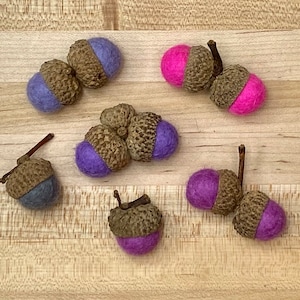Wool Felted Acorns: Autumn Decor, Natural Caps, Fall Colors (Set of 10)