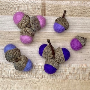 Wool Felted Acorns: Autumn Decor, Natural Caps, Fall Colors (Set of 10)