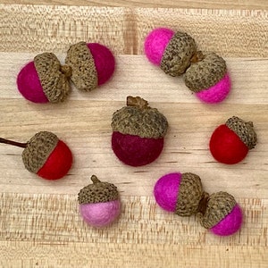 Wool Felted Acorns: Autumn Decor, Natural Caps, Fall Colors (Set of 10)