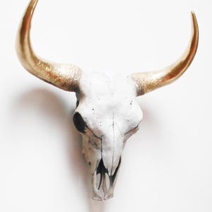 Crâne de vache, tête de mort, faux crâne d'animal, têtes de mort, tête de mort de vache, crâne de vache Australie, décoration cow-boy, tête de mort animal, taxidermie faux, décoration tête de mort,