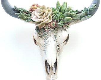 Cow Skull Wall Mount, Succulents, Cow Skull, Painted Cow Skull, Bull Skull, Wall Cow Skull, Cactus Decor, Succulent Decor, Cow Skull, Skull,