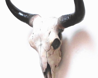 手描きのバッファローの頭蓋骨、壁掛け可能な牛の頭骨の角 - Etsy 日本