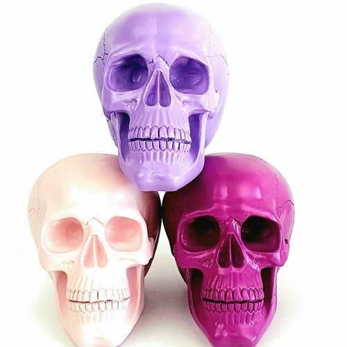 Painted Skull Skull Human Skull Pink 