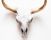 Decoración de la pared del cráneo de vaca, cráneo, decoración del hogar de Texas, cráneo de toro, taxidermia, cráneos, cráneo de animal, cráneo de vaca, cráneo de animal de oro, arte de la pared del suroeste