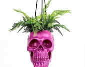 Hanging Planter, Indoor Planters, Skull Planter, Pot Plant, Indoor Plant, Skull, Florist, Indoor Planter, Planter, Skull Planter, Gothic,