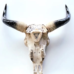 Resin Cow Skull Wall Art: Southwest Decor with Mahogany Details image 9