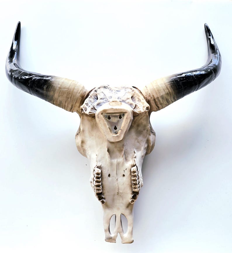 Resin Cow Skull Wall Art: Southwest Decor with Mahogany Details image 9