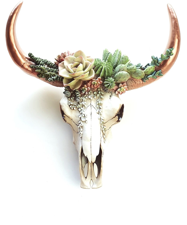 Bull Skull Succulent Decor Cow Skull Wall Decor Southwest Etsy