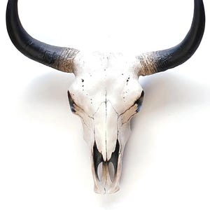 May include: A white cow skull with black horns. The skull has visible cracks and dark markings around the eye sockets. The horns curve upwards and outwards, creating a striking silhouette against the white background.