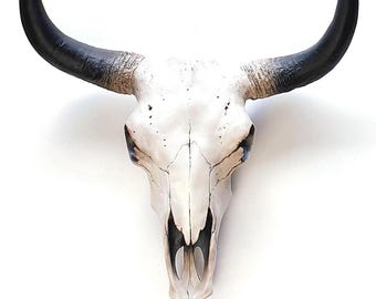 Resin Cow Skull Wall Art: Southwest Decor with Mahogany Details