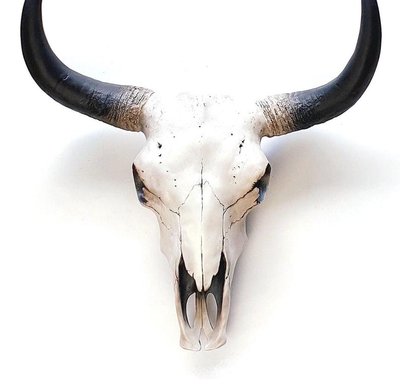 May include: A white cow skull with black horns. The skull has visible cracks and dark markings around the eye sockets. The horns curve upwards and outwards, creating a striking silhouette against the white background.