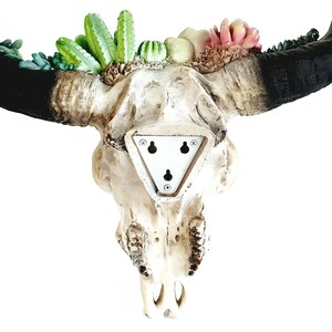 May include: A white faux cow skull with black horns and a triangular mounting plate on the back. The skull is decorated with a variety of green and pink artificial succulents.