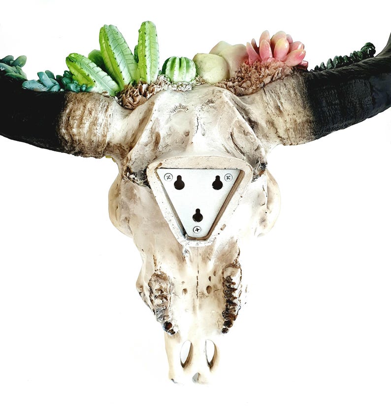 May include: A white faux cow skull with black horns and a triangular mounting plate on the back. The skull is decorated with a variety of green and pink artificial succulents.