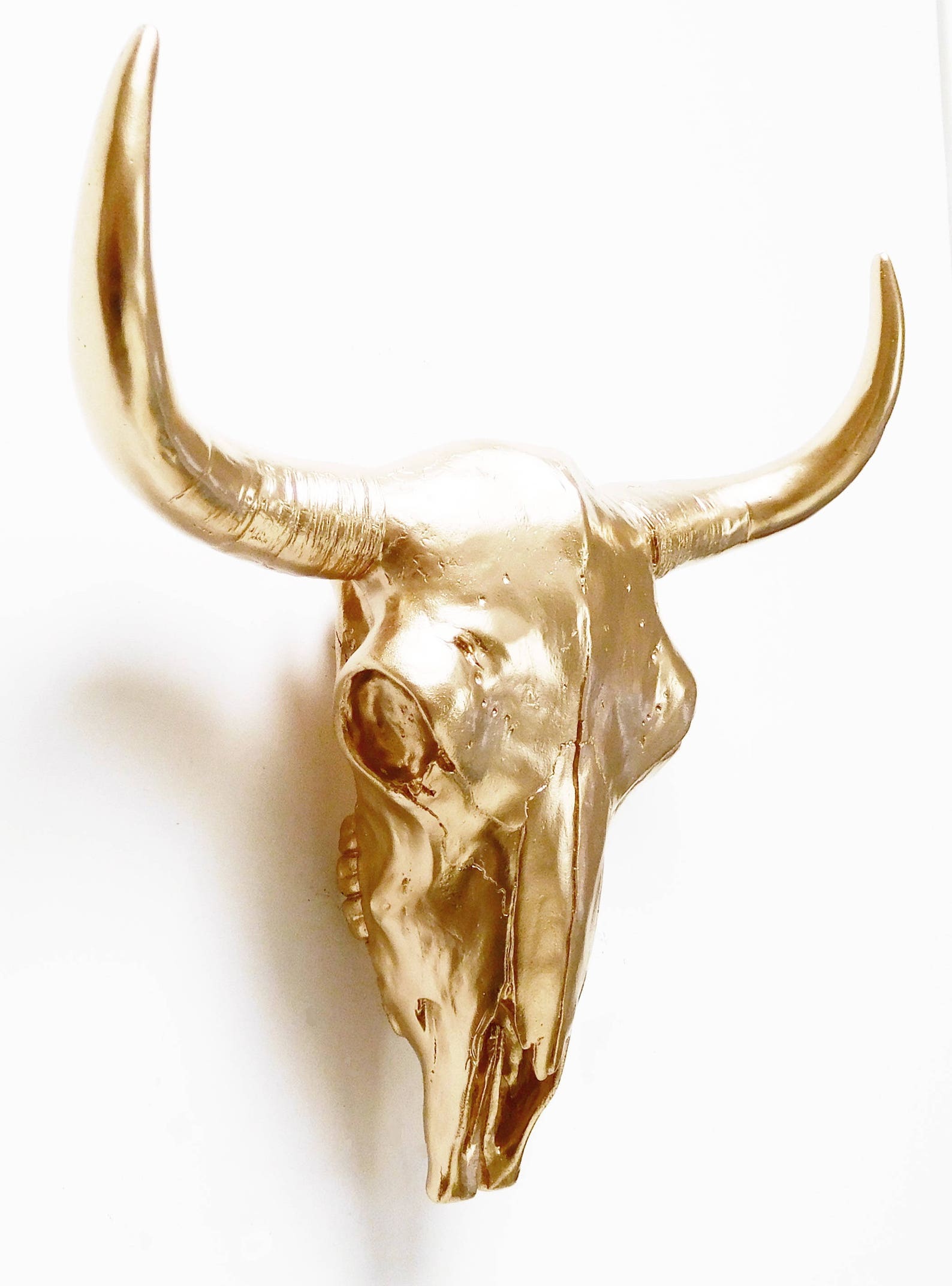 Resin Cow Skull Skull Animal Skull Cow Skull Boho Decor Etsy
