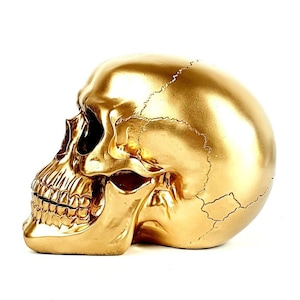 Gold Skull, Skull, Human Skull, Painted Skull, Skeleton, Gothic Decor, Skull Replica, Resin Skull, Faux Skull, Curiosities, Bones,