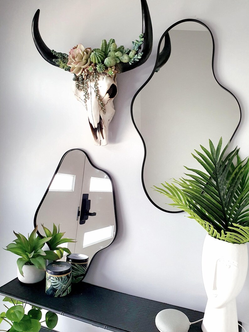 May include: A white bull skull with black horns is decorated with succulents and hangs on a white wall. Two black, wavy-shaped mirrors hang on the wall. A black shelf with a green plant, a white vase with a green plant, and two black and green containers are on the shelf.