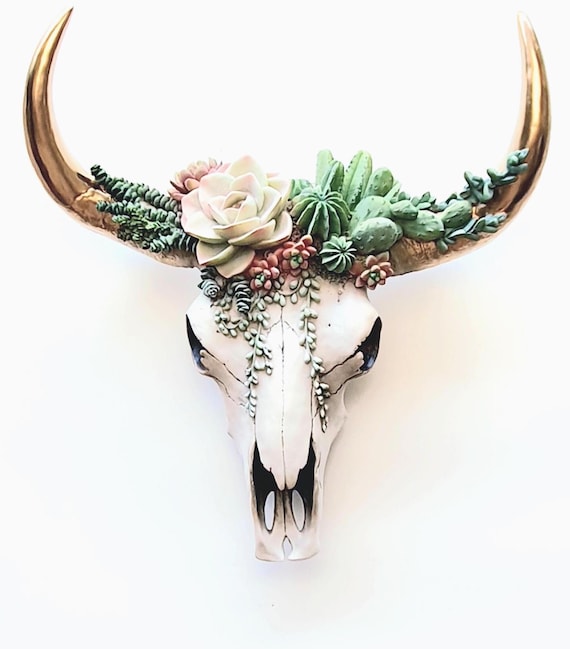 Resin Cow Skull with Succulents: Southwest Decor, Cowboy Ranch Art, Succulent Wall Art, Cow Skull Wall Hanging,