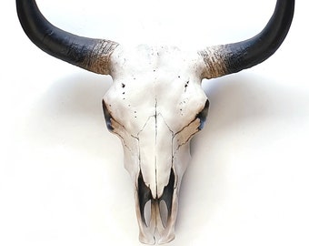 Cow Skull, Bull Skull, Southwest Wall Art, Arizona Wall Art, Skull, Cow Skull Decor, Desert Theme Decor, Cow Skull Wall Art, Texan Wall Art,