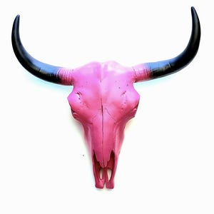 Skull, Animal Skull, Cow Skull, Animal Skulls, White Cow Skull, Buffalo Skull, Faux Cow,White Skull, Cow Skull Australia, Gold Cow Skull,