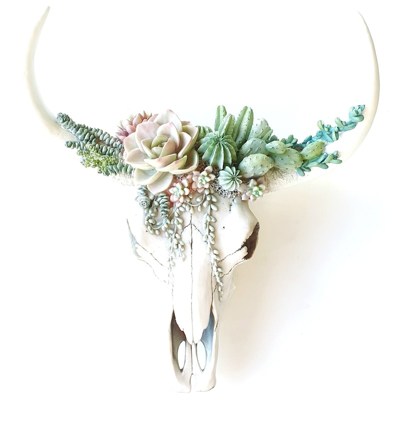 Bull Skull Succulent Decor Cow Skull Wall Decor Southwest Etsy