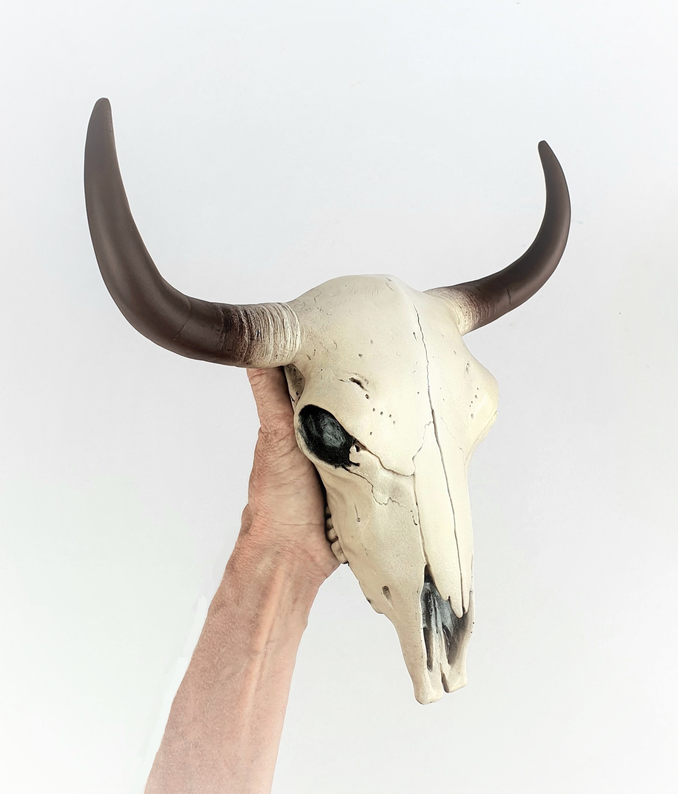 Two 2 Resin Buffalo Skulls Crafts  RESIN 