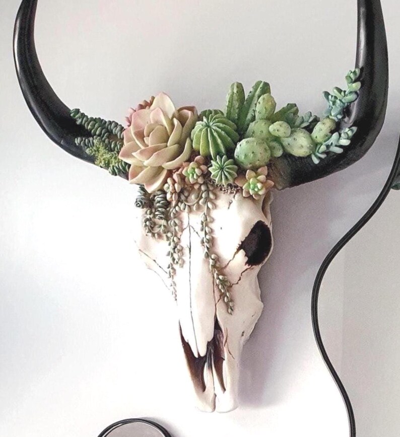 Resin Cow Skull with Succulents: Southwest Decor, Cowboy Ranch Art, Succulent Wall Art, image 6