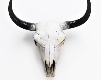 Skull, Animal Skull, Cow Skull, Animal Skulls, White Cow Skull, Buffalo Skull, Faux Cow,White Skull, Cow Skull Australia, Gold Cow Skull,