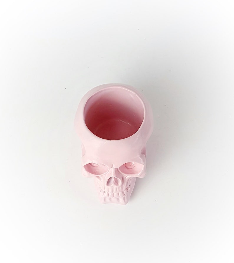 Makeup Brush Holder Skull Vase Demon Skull Pen Holder Etsy
