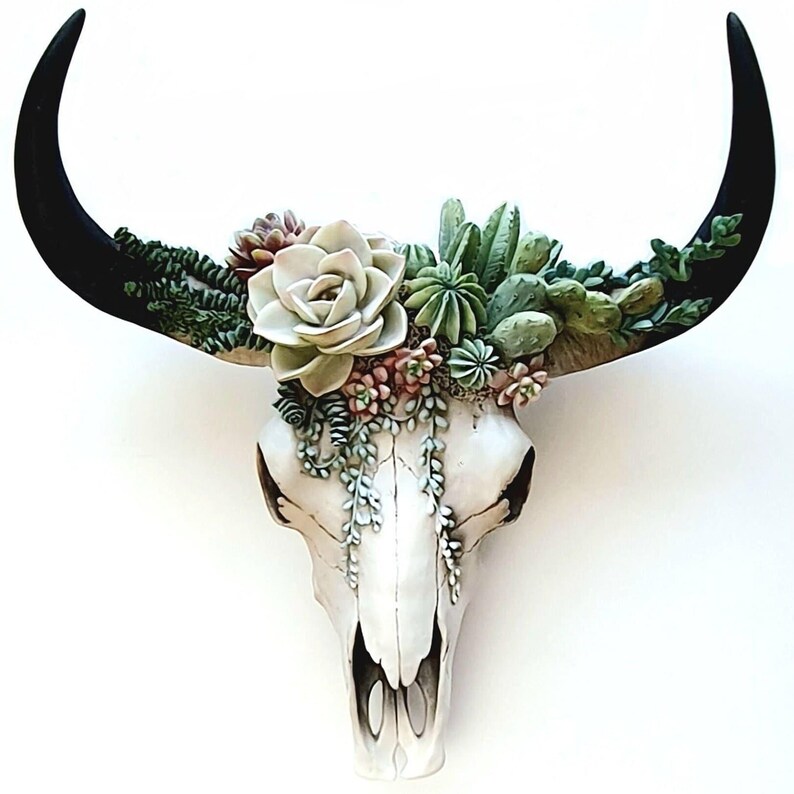 Resin Cow Skull with Succulents: Southwest Decor, Cowboy Ranch Art, Succulent Wall Art, Matte Black shown