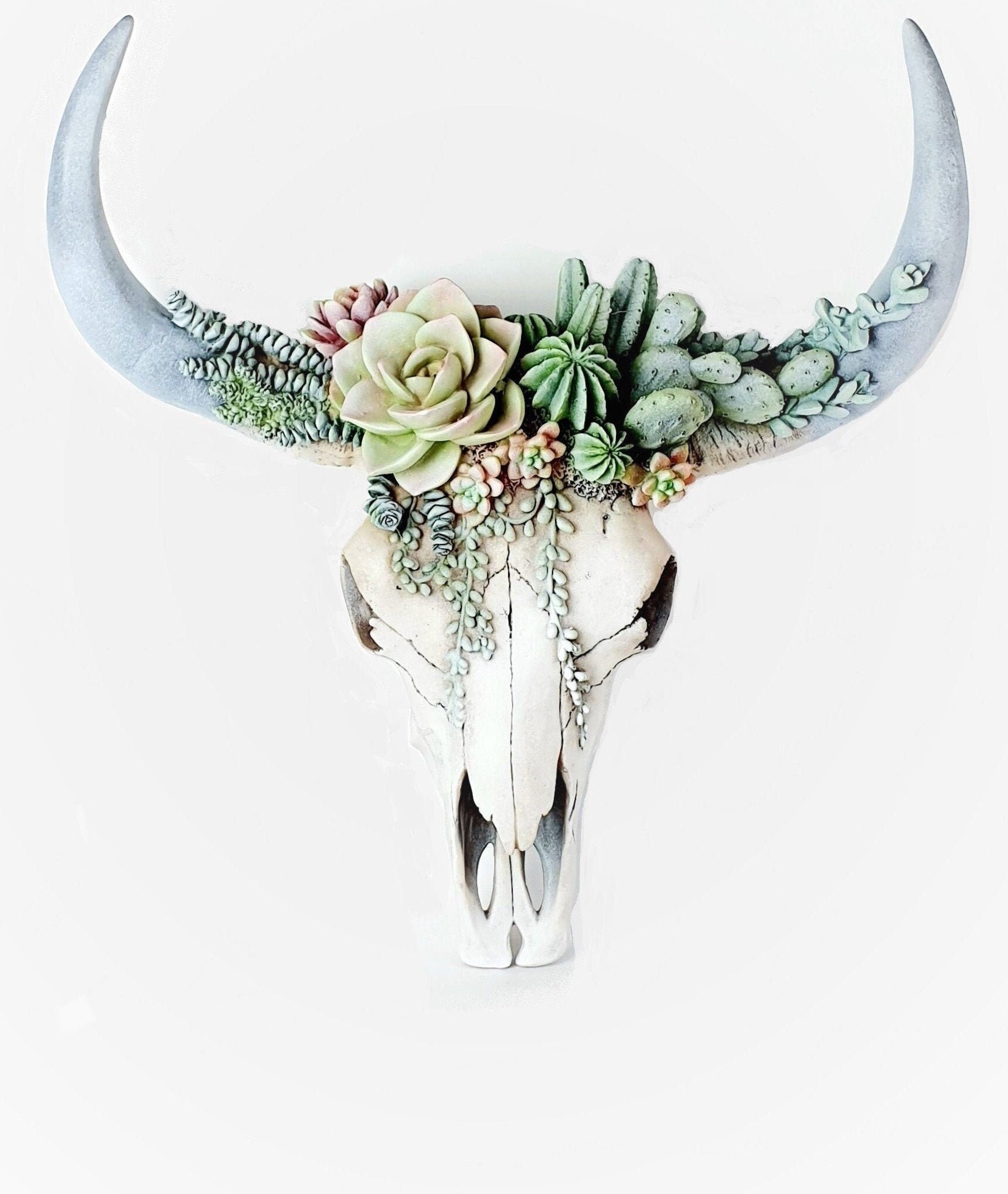 Succulent Cow Skull Bull Faux Animal Australia - Cow Skull Wall Decor Australia Succulent Cow Skull Bull Faux Animal Australia - Cow Skull Wall Decor Australia