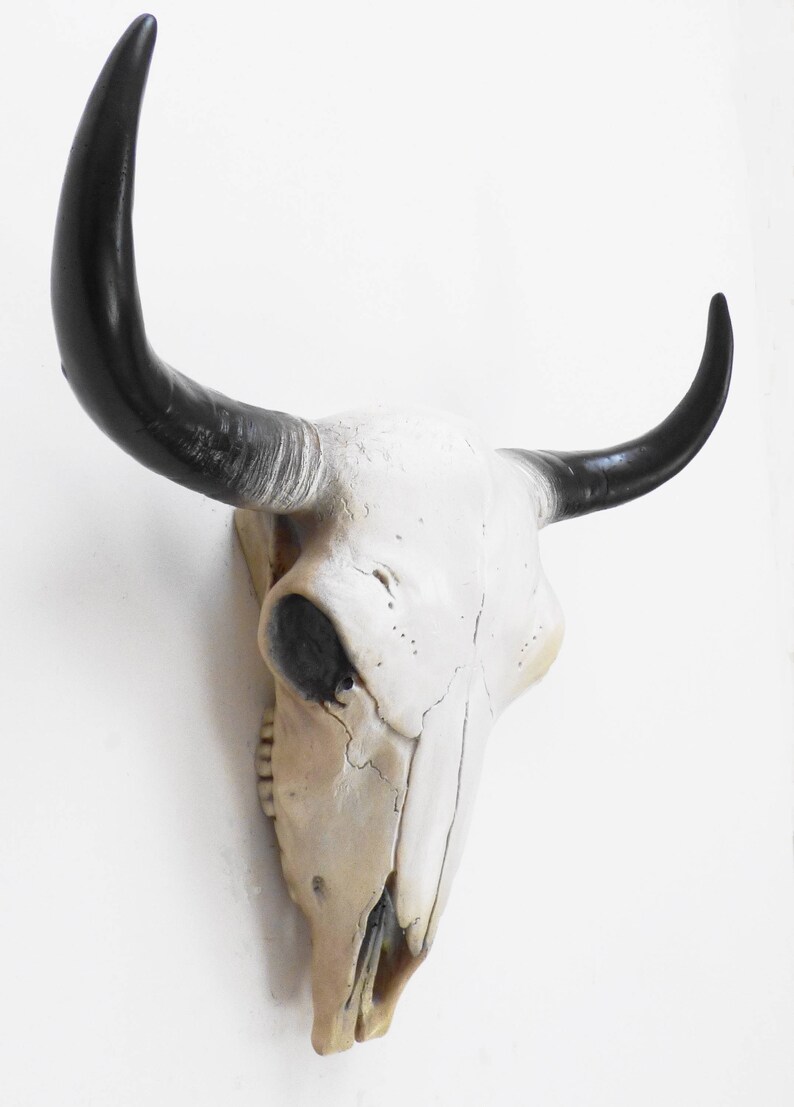 Skull Animal Skull Cow Skull Animal Skulls White Cow Etsy