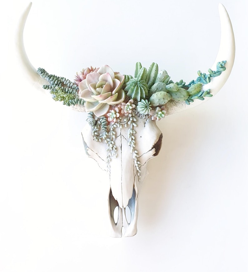 Resin Cow Skull with Succulents: Southwest Decor, Cowboy Ranch Art, Succulent Wall Art, Antique White shown