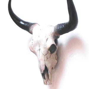 Faux Bison Skull.