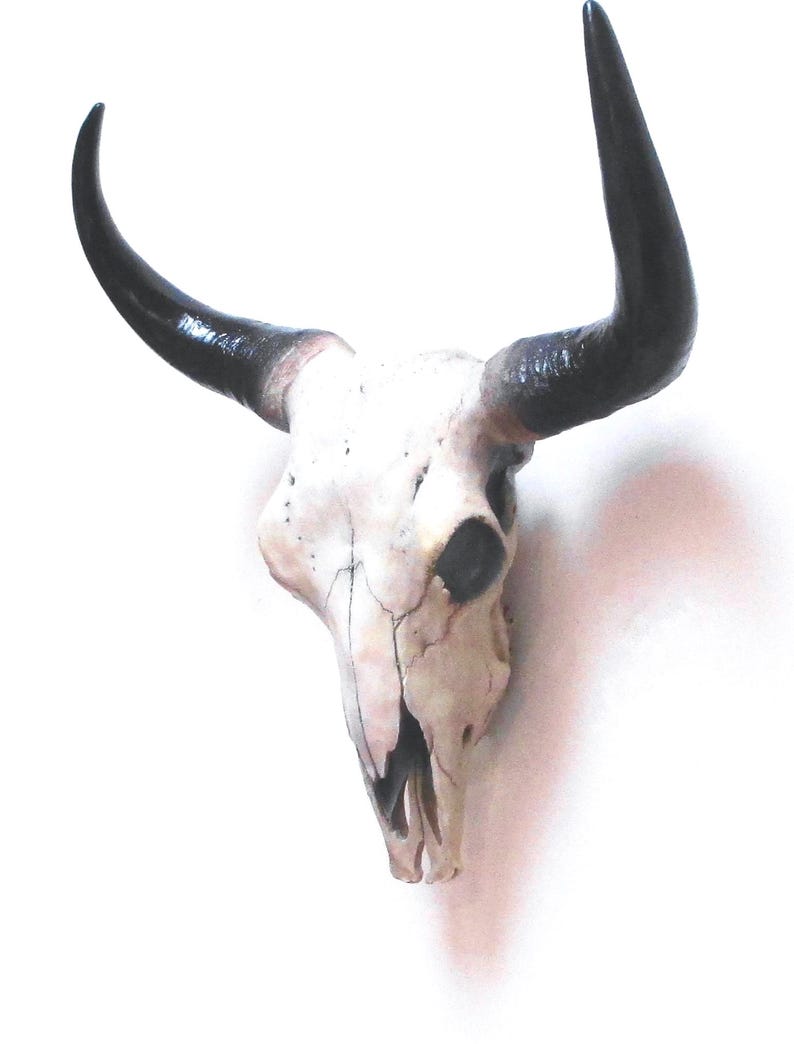 Faux Bison Skull.